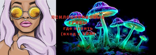 a pvp Каменногорск