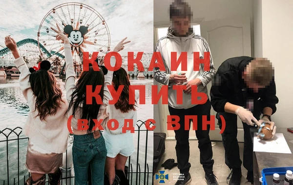 ГАЛЛЮЦИНОГЕННЫЕ ГРИБЫ Каменка
