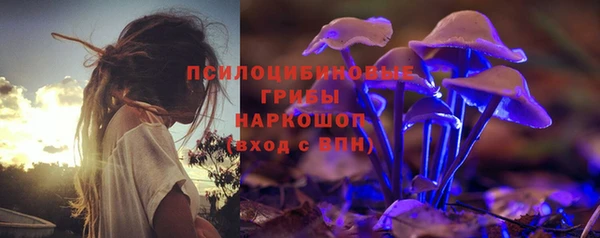 ГАЛЛЮЦИНОГЕННЫЕ ГРИБЫ Каменка