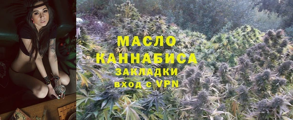 ГАЛЛЮЦИНОГЕННЫЕ ГРИБЫ Каменка