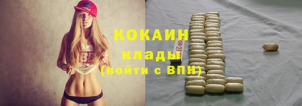 a pvp Каменногорск
