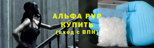 a pvp Каменногорск
