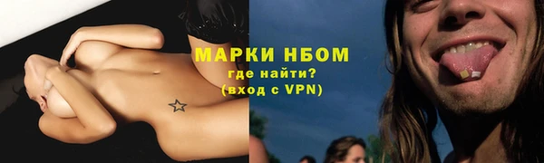 ГАЛЛЮЦИНОГЕННЫЕ ГРИБЫ Каменка