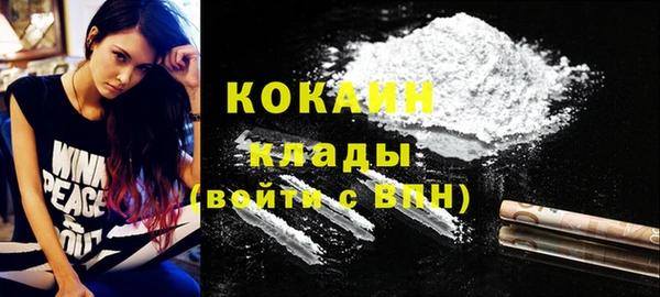 ГАЛЛЮЦИНОГЕННЫЕ ГРИБЫ Каменка