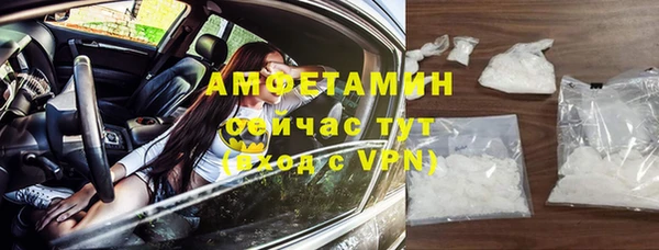 ГАЛЛЮЦИНОГЕННЫЕ ГРИБЫ Каменка