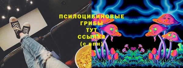 a pvp Каменногорск