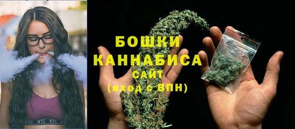 ГАЛЛЮЦИНОГЕННЫЕ ГРИБЫ Каменка