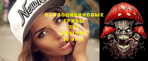 ГАЛЛЮЦИНОГЕННЫЕ ГРИБЫ Каменка
