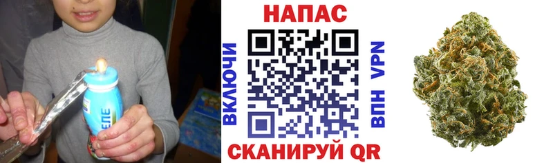 Купить закладки  Новый Оскол  МАРИХУАНА сатива 